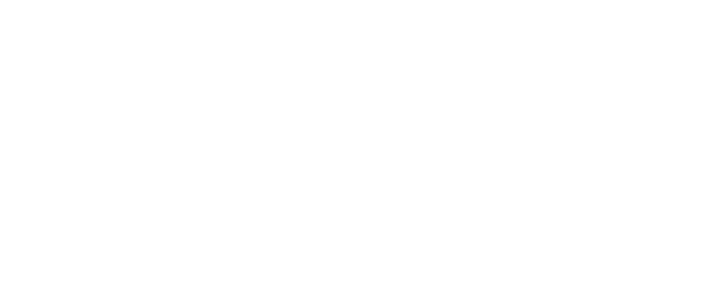 Horizon Partners