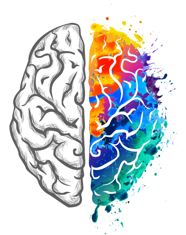 Image depicting the left and right sides of the brain